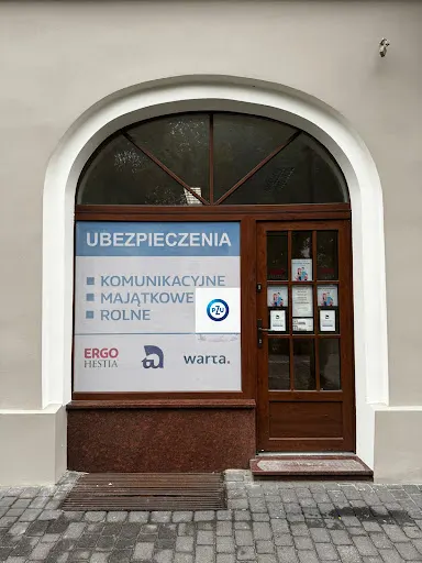 Ubezpieczenia Rejestracja Pojazdów Eryk Cichy